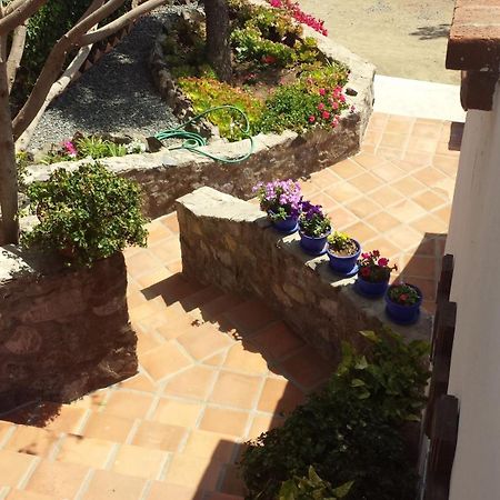 Quinta Los Arrayanes Ξενοδοχείο Ενσενάντα Εξωτερικό φωτογραφία