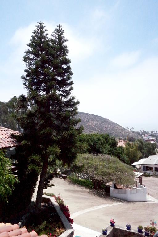 Quinta Los Arrayanes Ξενοδοχείο Ενσενάντα Δωμάτιο φωτογραφία