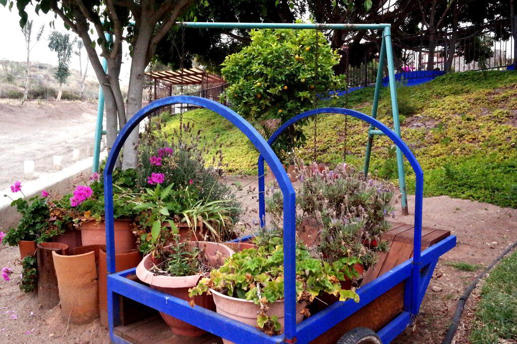 Quinta Los Arrayanes Ξενοδοχείο Ενσενάντα Εξωτερικό φωτογραφία